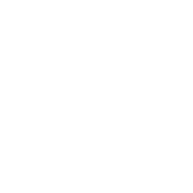 project-image