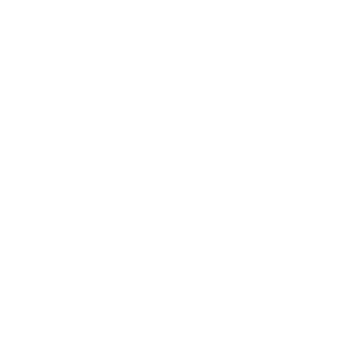 project-image