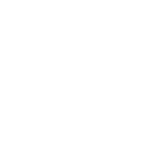 project-image