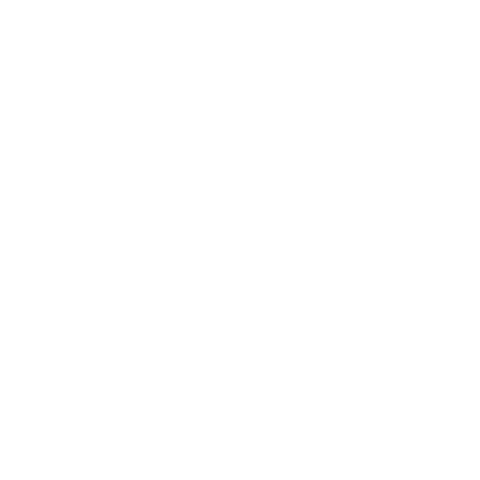 project-image