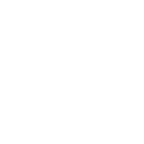 project-image