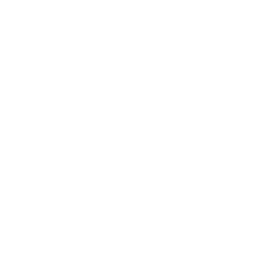 project-image