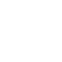 project-image