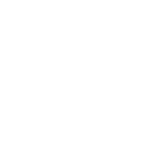 project-image